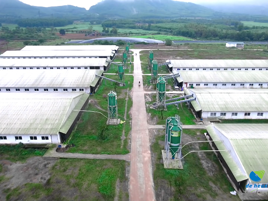 De Heus và Hùng Nhơn đầu tư khu chăn nuôi công nghệ cao 1.000 tỷ
