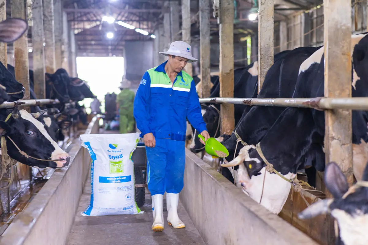 ông Kiều Văn Hán testimonial