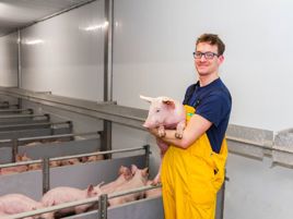 Bảo Vệ Trại Heo Thịt Trước Sự Bùng Phát Trở Lại Của ASF