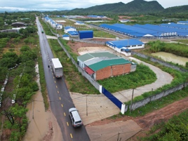 Gần 400 “Công Chúa Hoàng Gia” TN70 “Xuất Giá” Đến Với Các Trang Trại  Sau Một Năm Ngóng Đợi